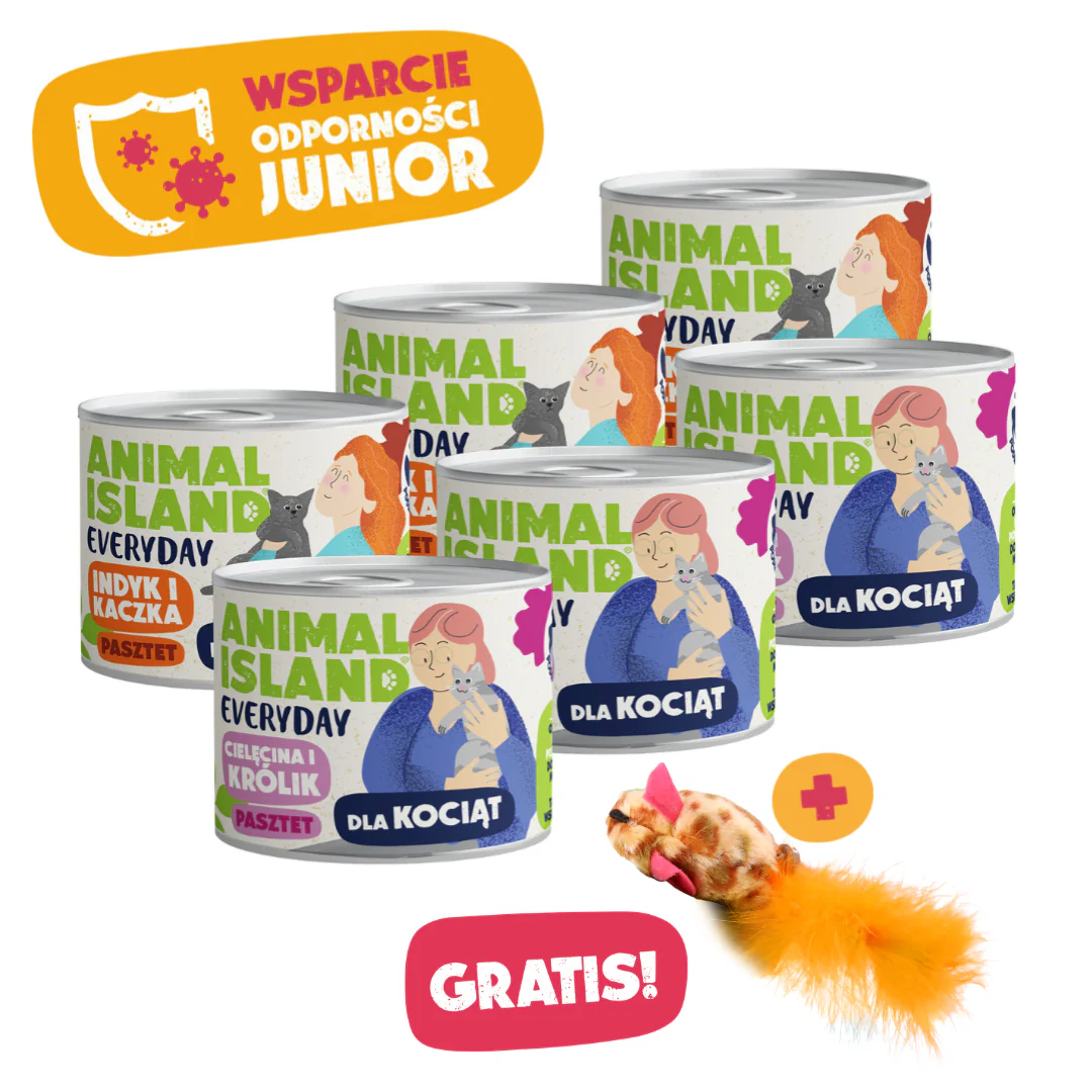 Zdjęcie produktu 1