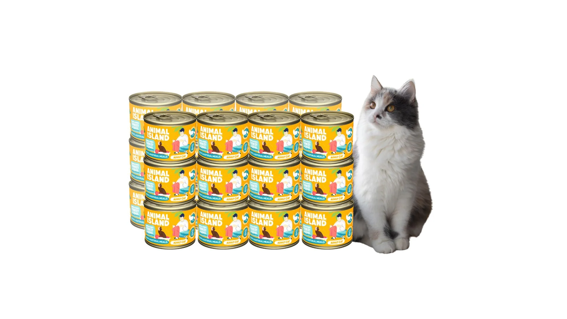 Zdjęcie produktu 1