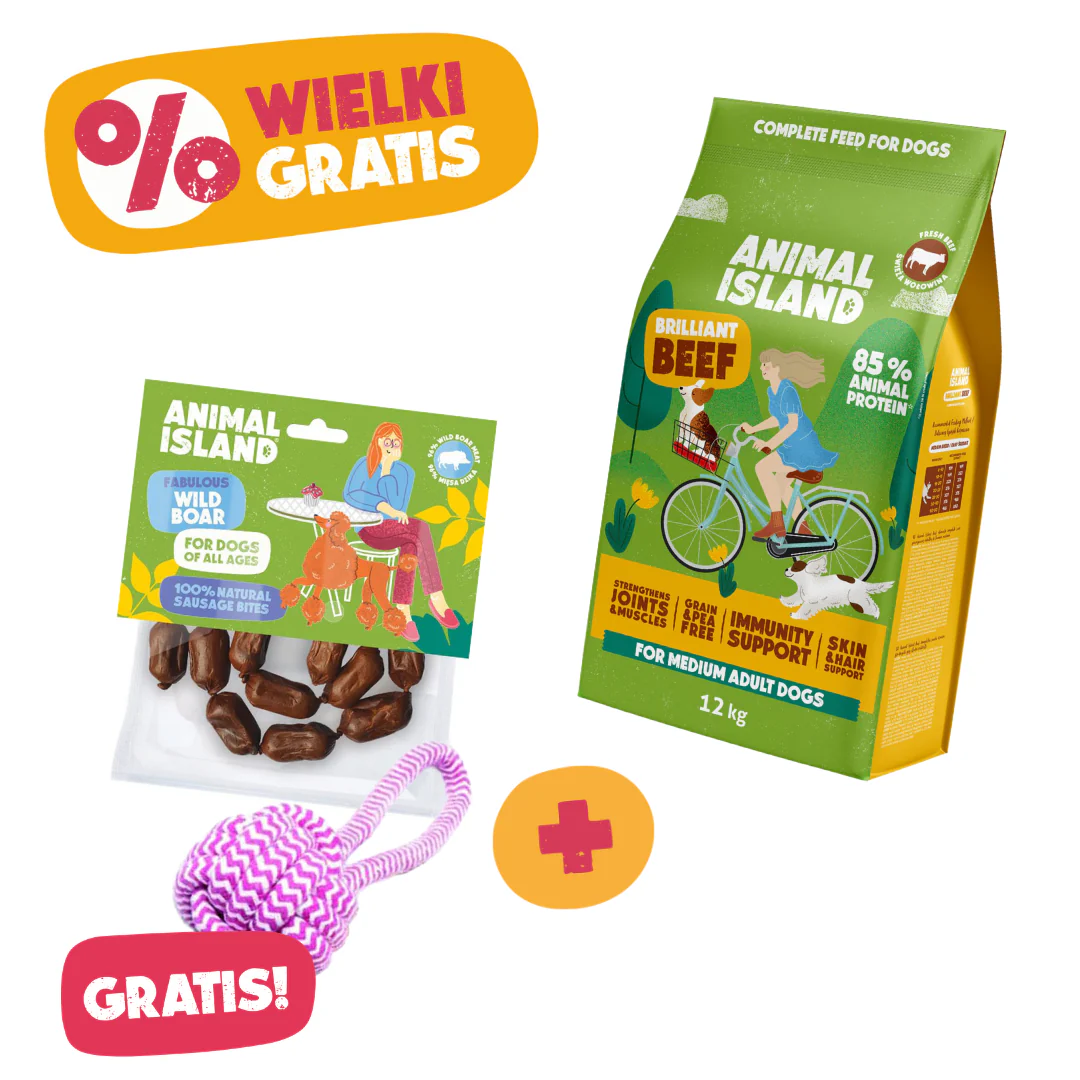 Zdjęcie produktu 1