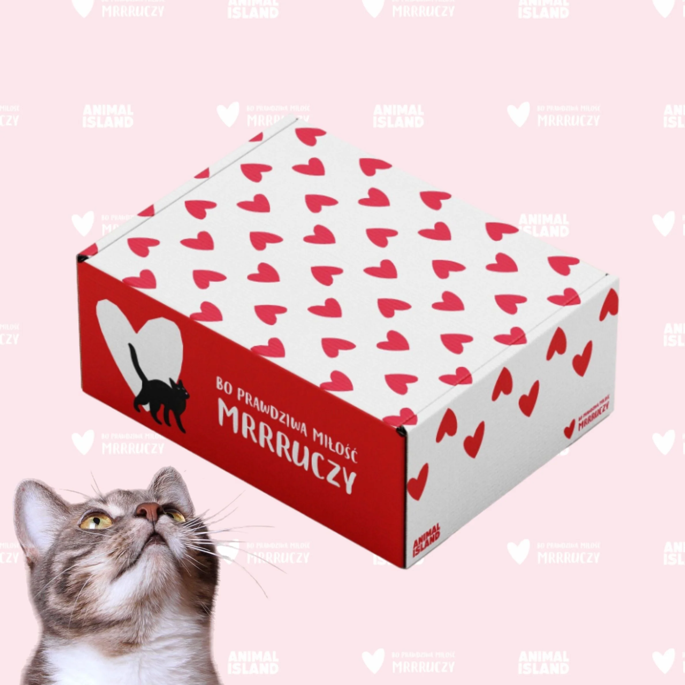Zdjęcie produktu 3