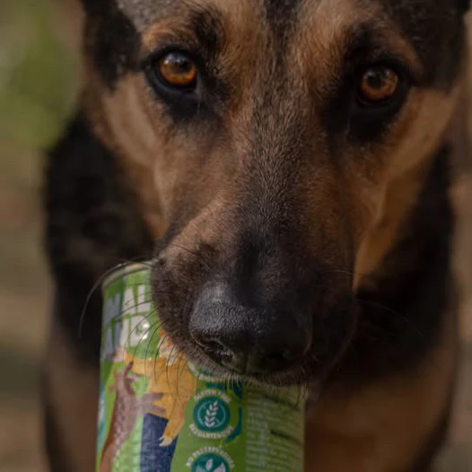 Zdjęcie produktu 2